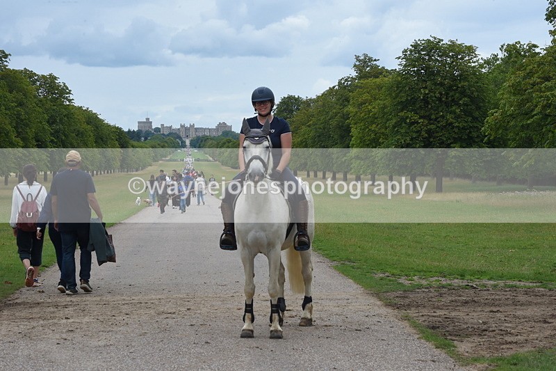 TT3_0078 - Time at Crossing 13:17 to 14:48