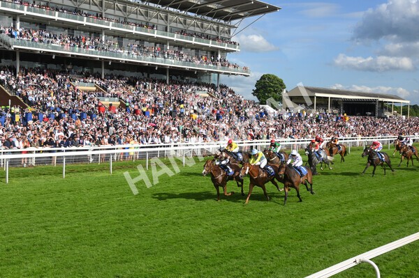 yr21052022r7-31 - Race 7: 5:15pm Reg Bond Always and Forever Stakes