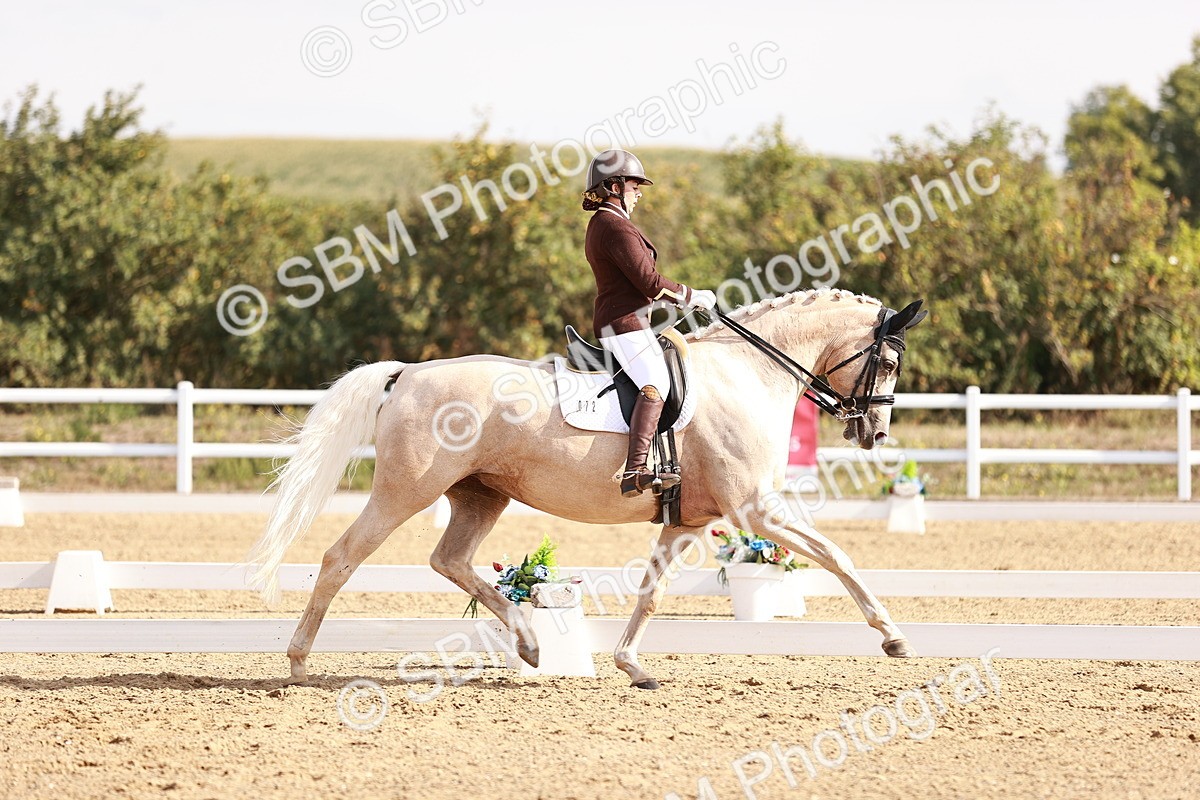 SBM_017015 - Class 10 - Medium 6