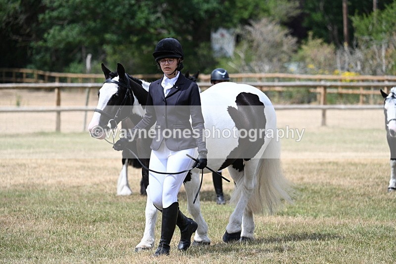 WJ7_1729 - Class 4 Prettiest Mare up to 14.2hh in hand