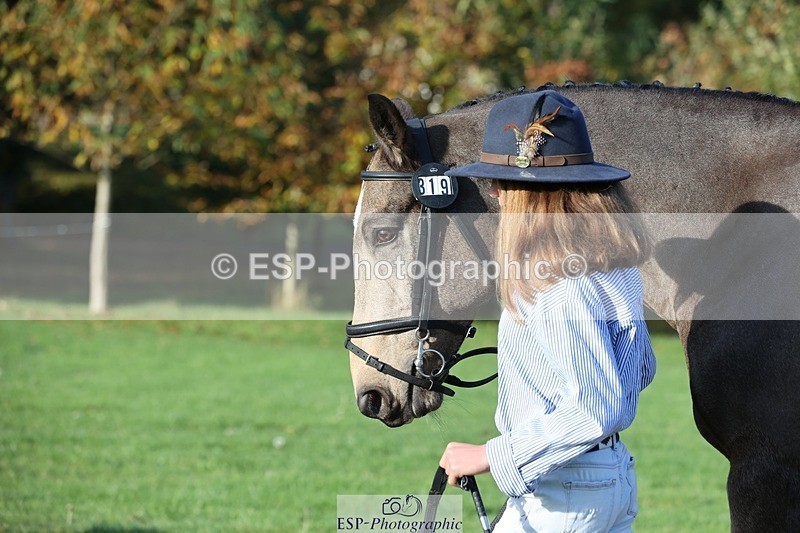 241027-093257-15346 - 319-Neve.Webber-MR.BUZZ