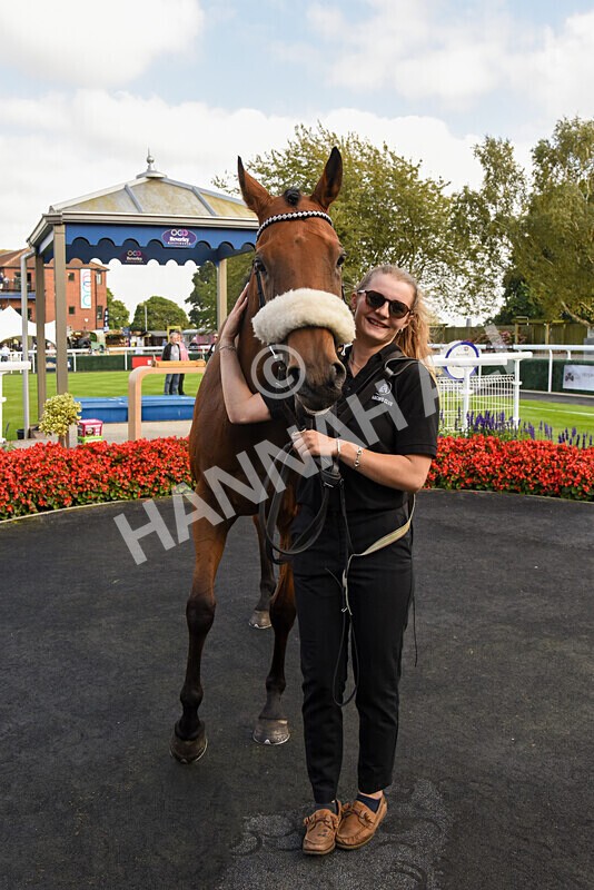 310824-Race 7-Zapphire-2896 - Race 7