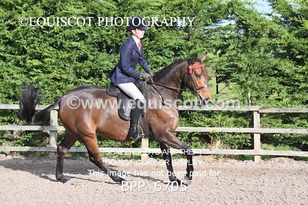 BPP_6705 - RING 1  (RIDDEN HORSES / IN HAND / VETERAN ETC)