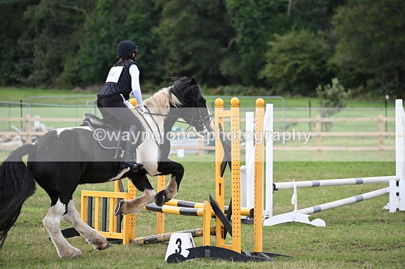 WJ6_1467 - 60cm Time 11:51 to 12:10