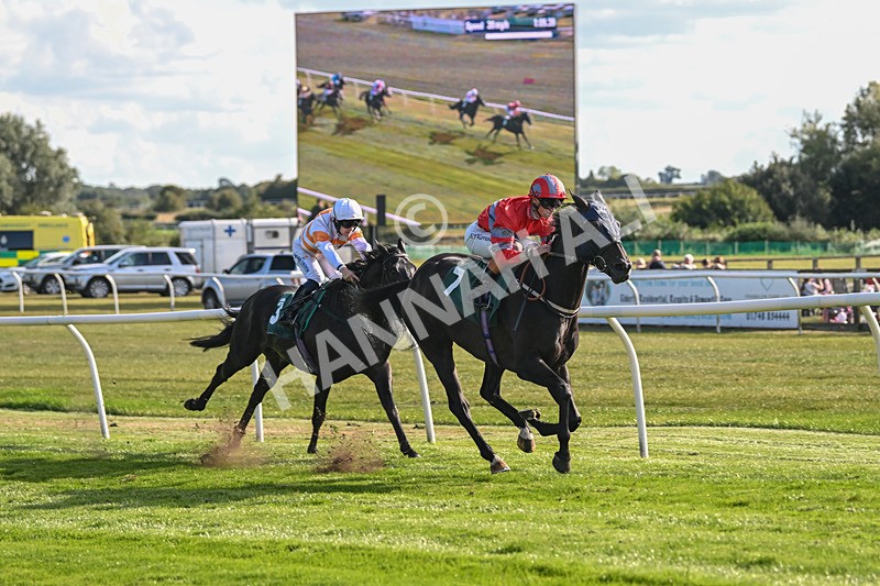 090925-Race 5-Dream Deal-9222 - Race 5