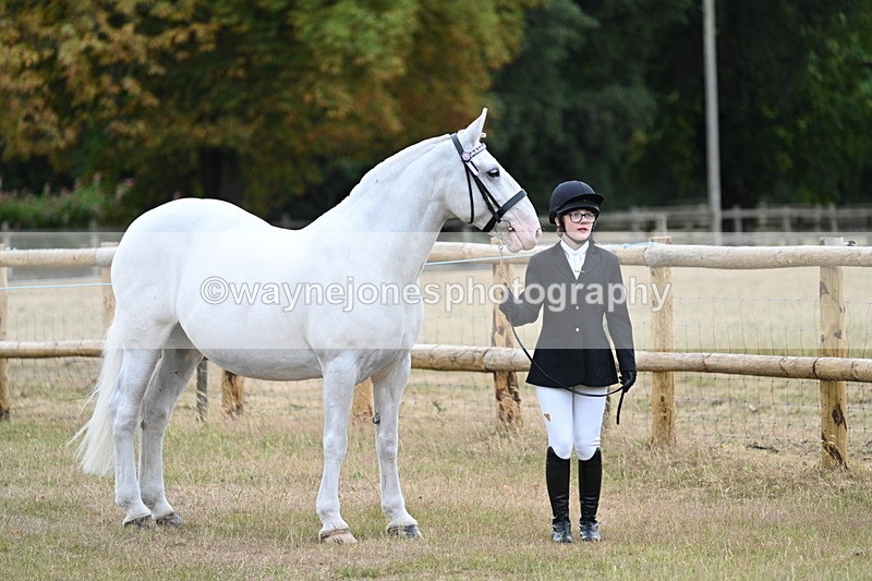 WJ7_8857 - Class 4a Prettiest Mare 14.2hh and over