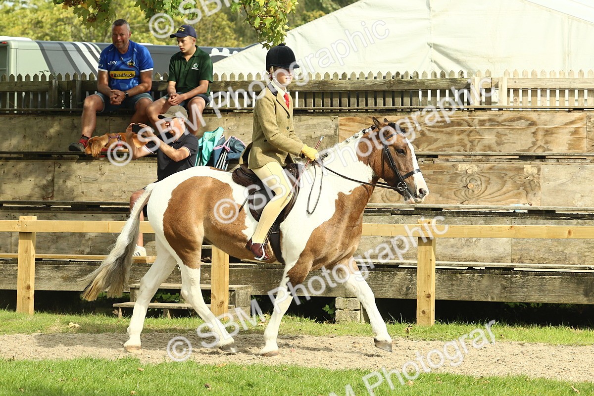 SBM_69026 - S58 - Mini Show Cob Ridden