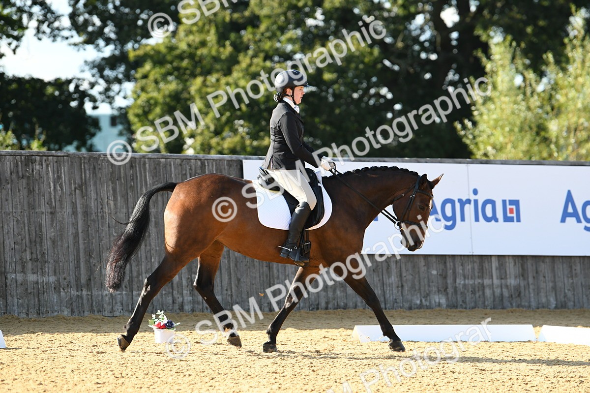 SBM_28400 - D16 - Small Tour Championship - Novice 28