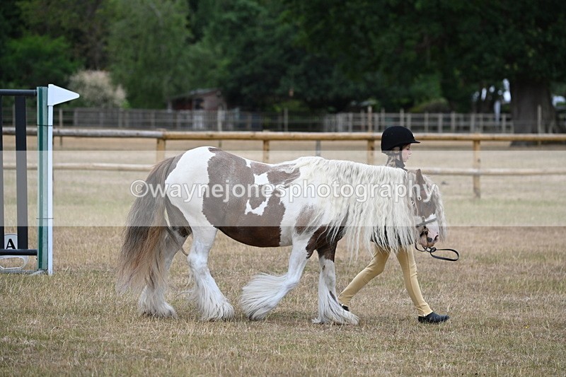 WJ6_7856 - Class 10 Coloured in Hand