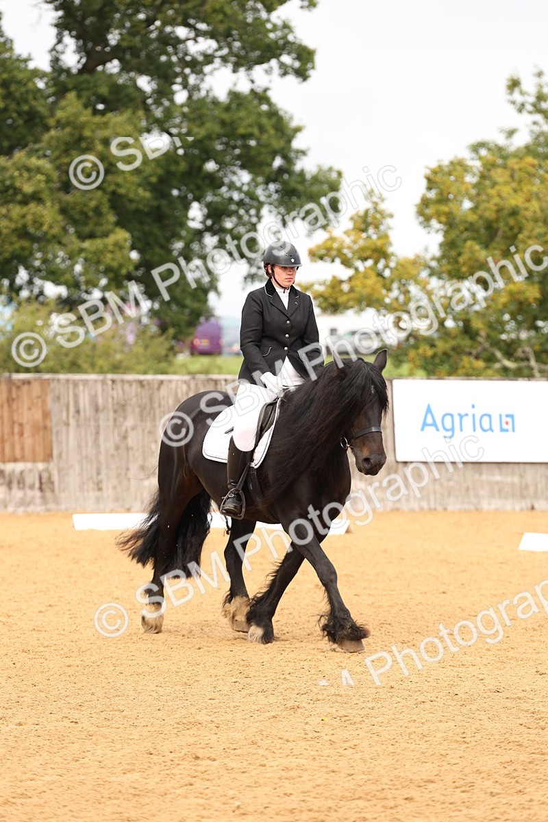 SBM_03565 - D1 - Small Tour Championship Intro 1