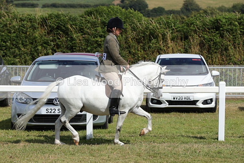 1X9A5670 - Class 40: NPS Welsh A & B