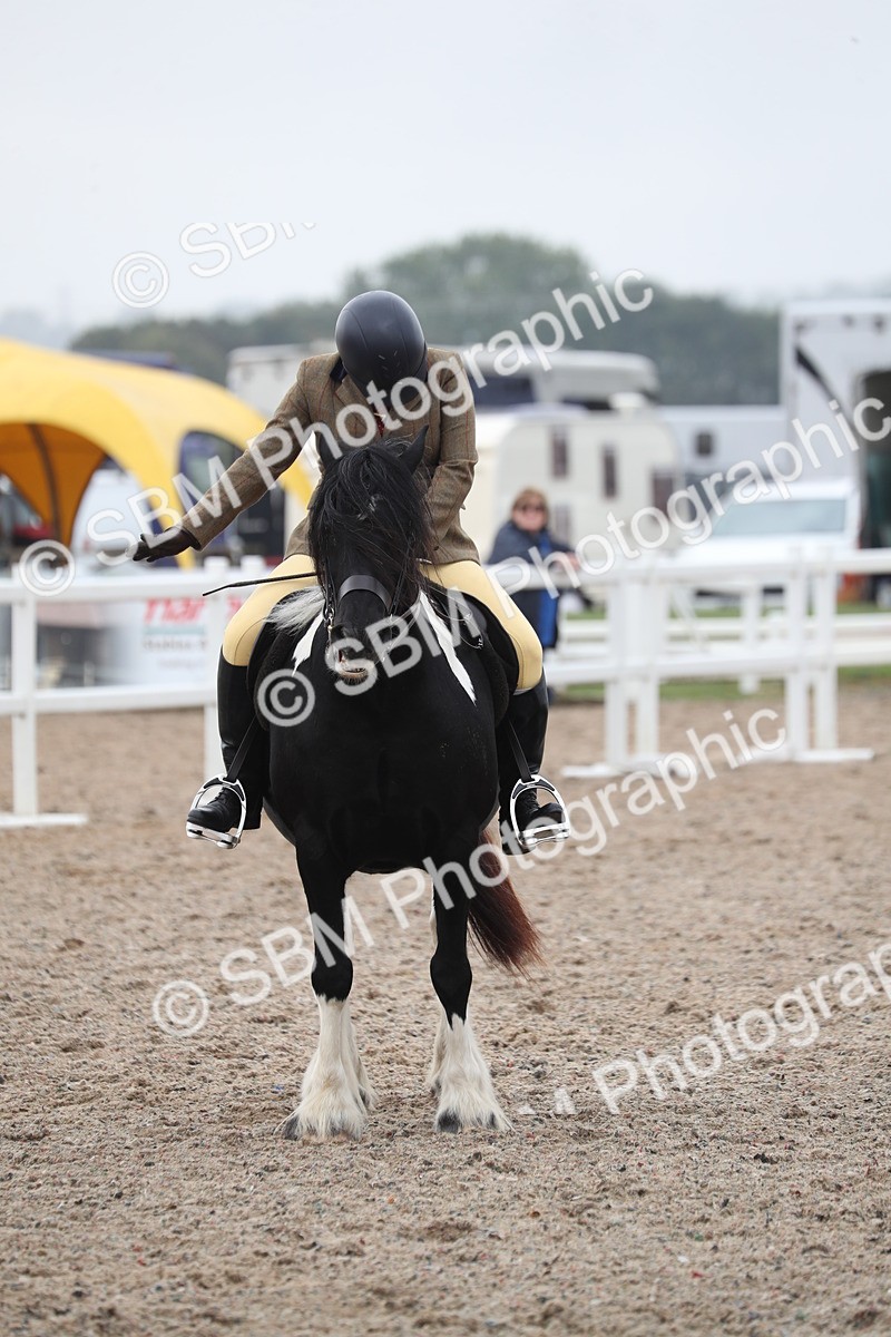 SBM_22028 - Class 603 - 2025 Area Ridden Pre Vet