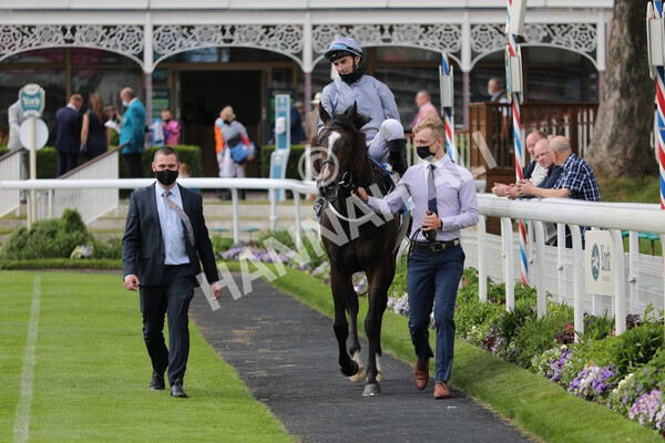 yr11062021r5-23 - Race 5 4.00pm Sky Bet Ganton Stakes