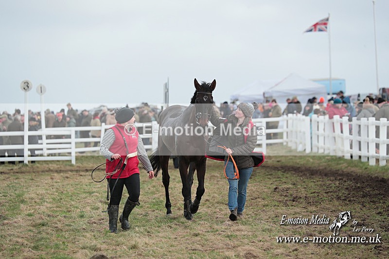 PtP 311223 339 - Larkhill Racing Club Point-to-Point 31/12/23