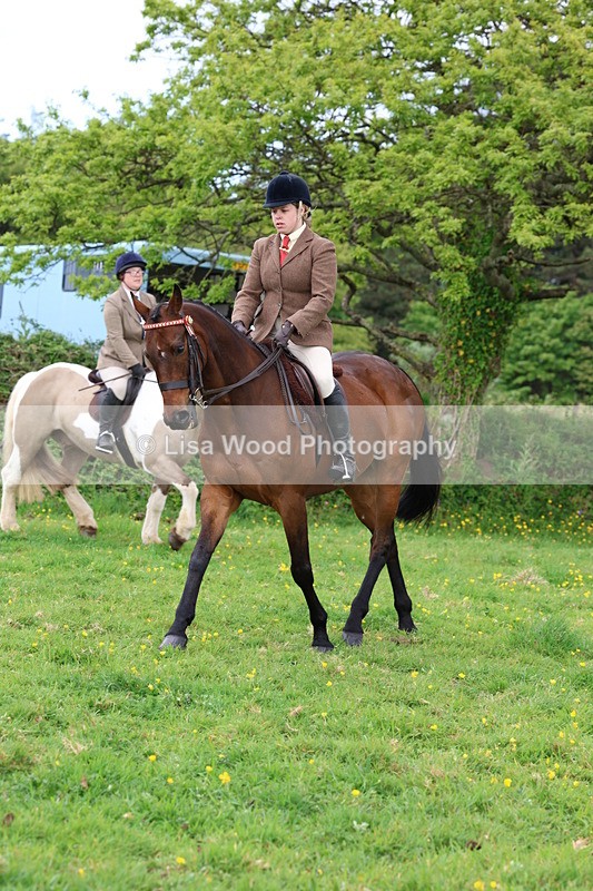 3E7A1473 - Class 8: Ridden Veteran Junoir and Senior