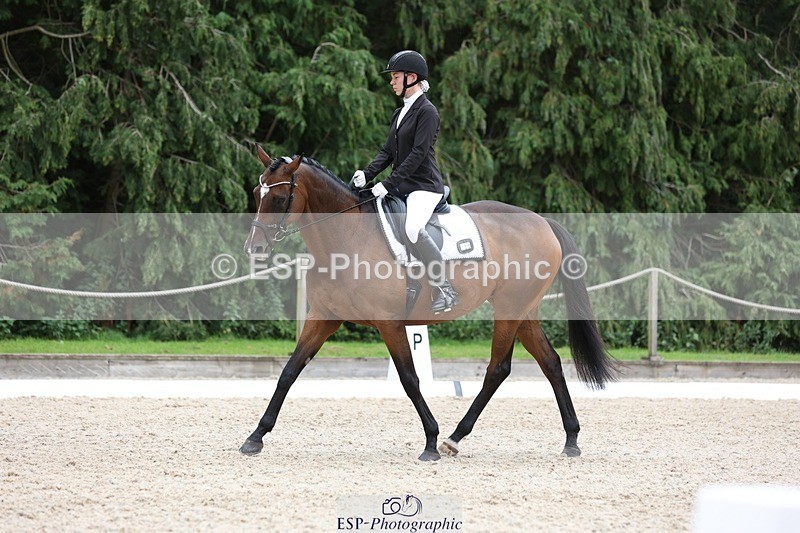 230813-153043-08090 - Cls 11 Elem Bronze 14.30 to End