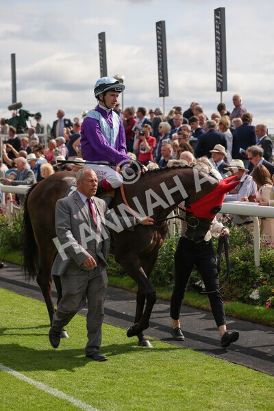 yr18082021r4-42 - Race 4 3.35pm Juddmonte International Stakes (British Champion Series race)