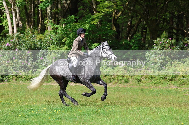 3E7A2688 - Working Hunter Championship