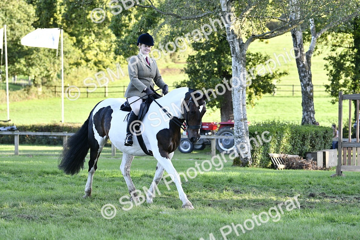 SBM_53555 - S14 - Riding Club Horse