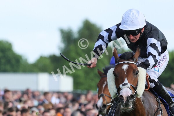 yr21052022r6-22 - Race 6: 4:42pm Yorkshire Regiment Stakes