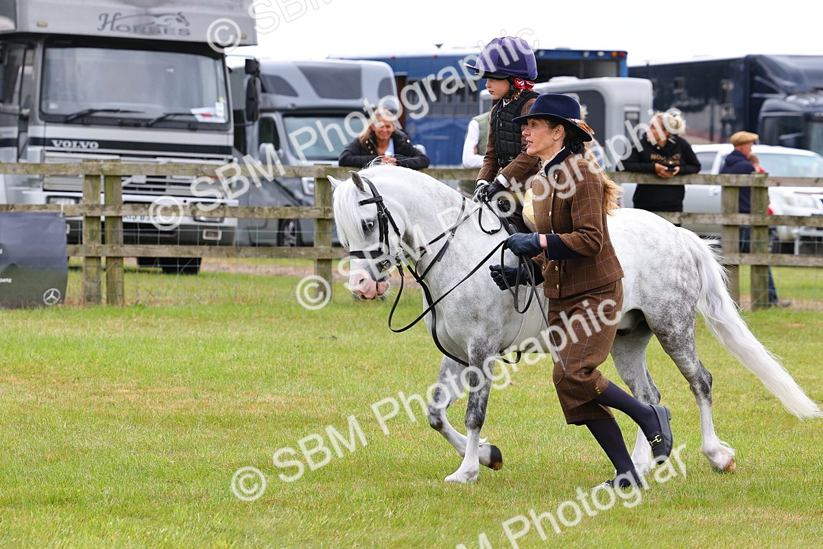 SBM_08260 - Class 42-43 - LIHS BSPS Heritage Working Sports Pony