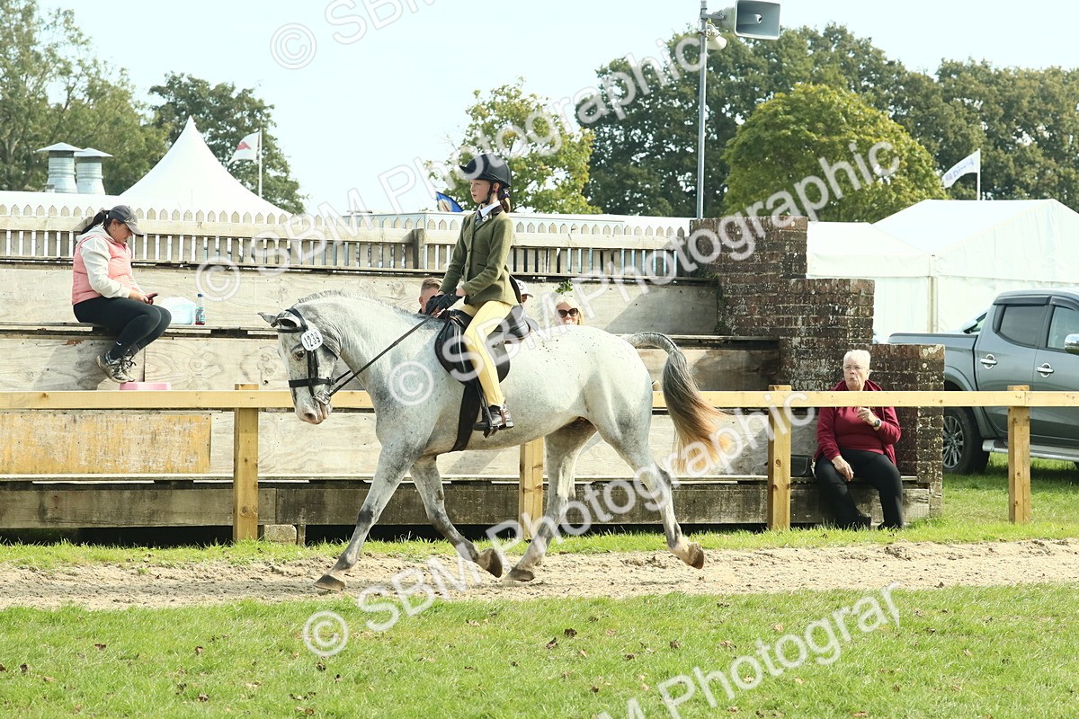 SBM_67540 - S56 - Coloured Pony Ridden