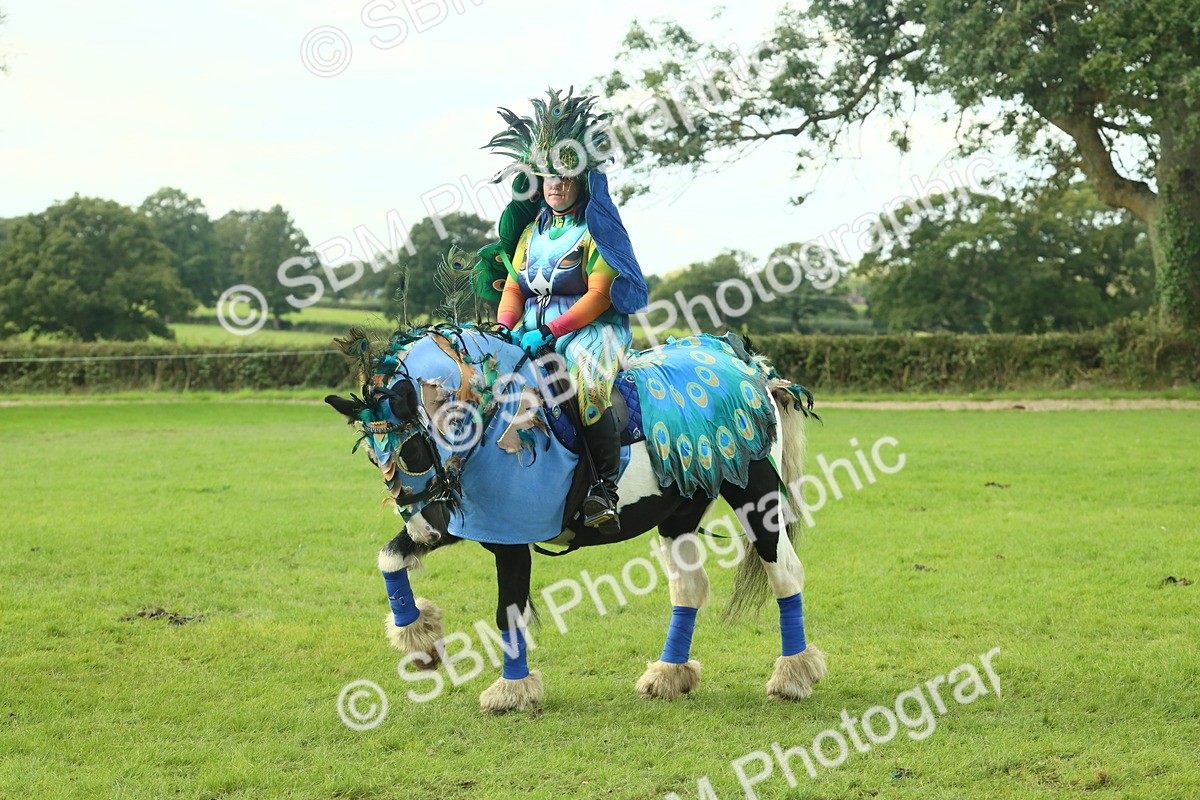 SBM_63594 - S35 - Fancy Dress Showing