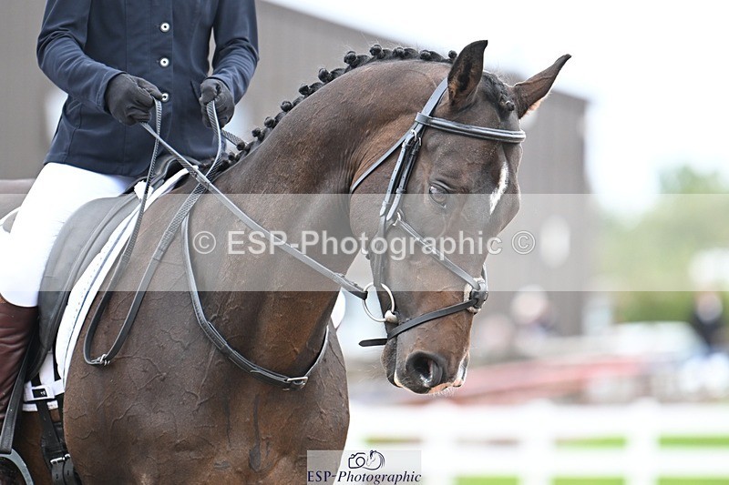 250907-115418-07291 - 068-Emma.LeedingViaduct