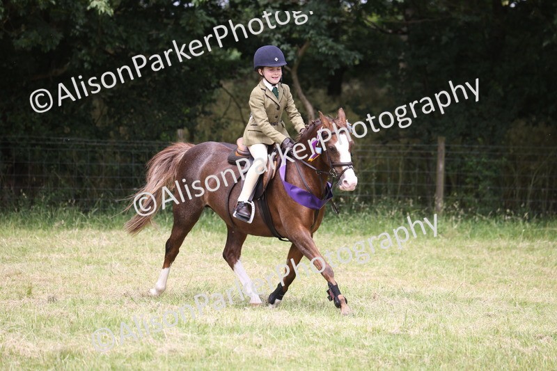 20260614-3221 - Class 22 - Open Working Hunter