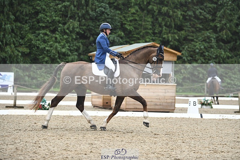 240720-143205-05672 - 142-Amberley_Pugsley-Hero_A