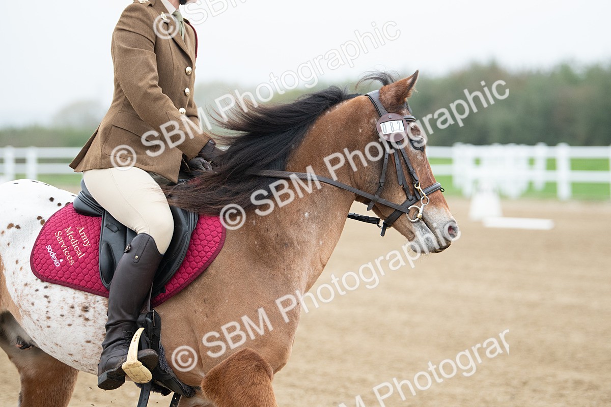 SBM_003409 - Introductory Test 3