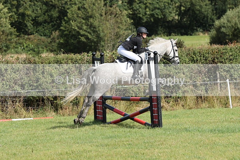 JPP_8636 - Class 2: Trekenning: 80cm Showjumping