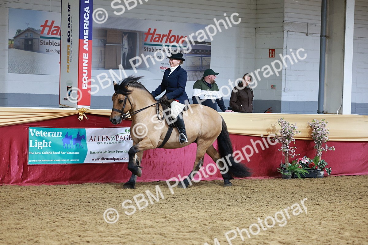 SBM_18589 - Class 952 - M&M Ridden Supreme Final