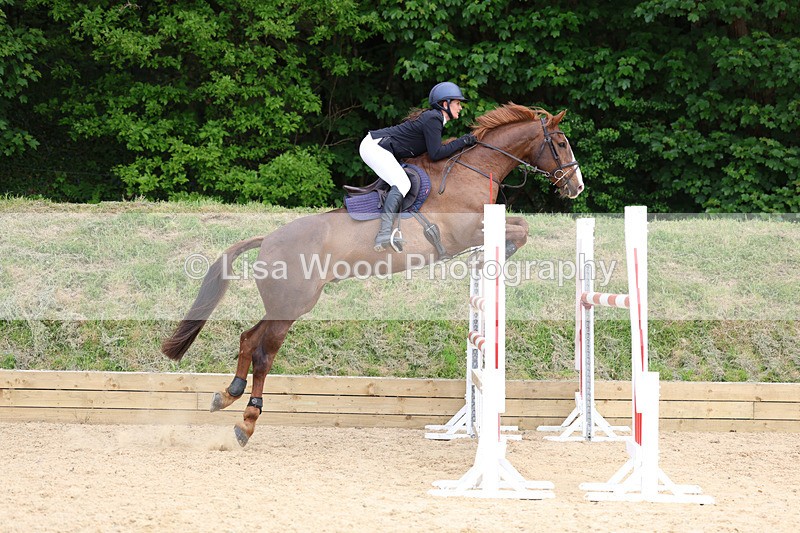 3E7A7497 - Class 8: Senior Foxhunter/1.20 open