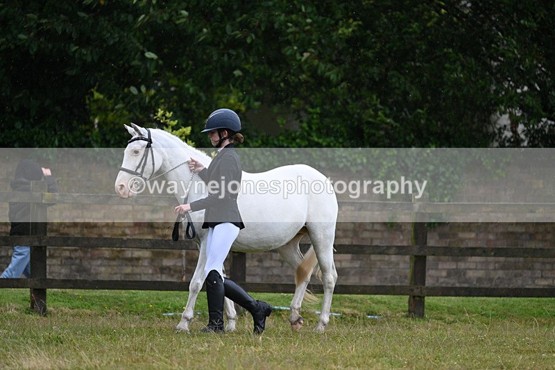 WJ7_5719 - Class 4 Prettiest Mare in Hand