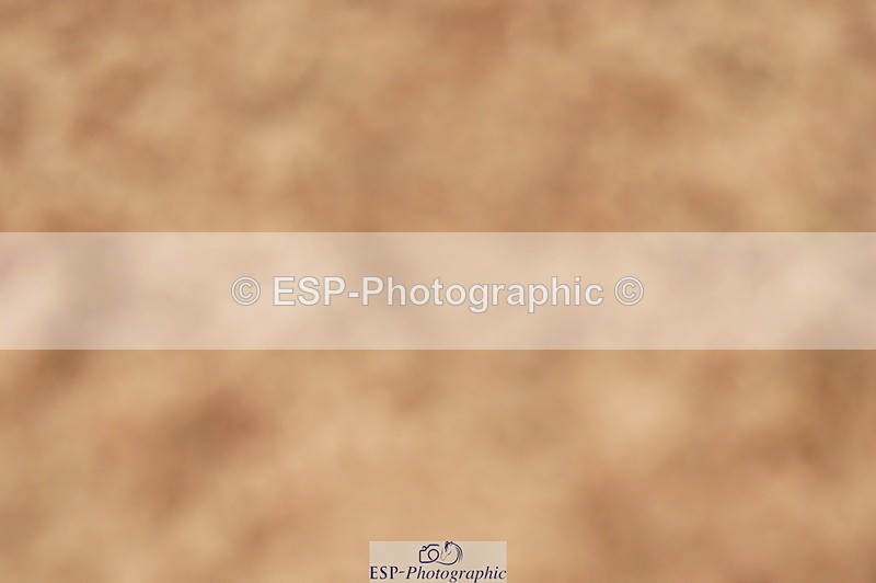 240526A-112432-07790 - Cls 26 Chard Equ 1.05m and 1.10m Grand Prix