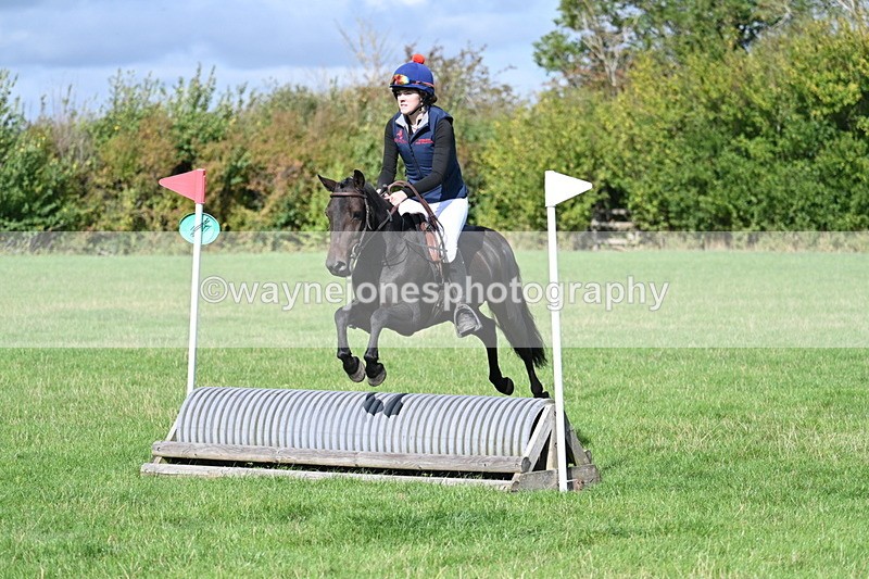 WJ7_8503 - 60cm Pairs