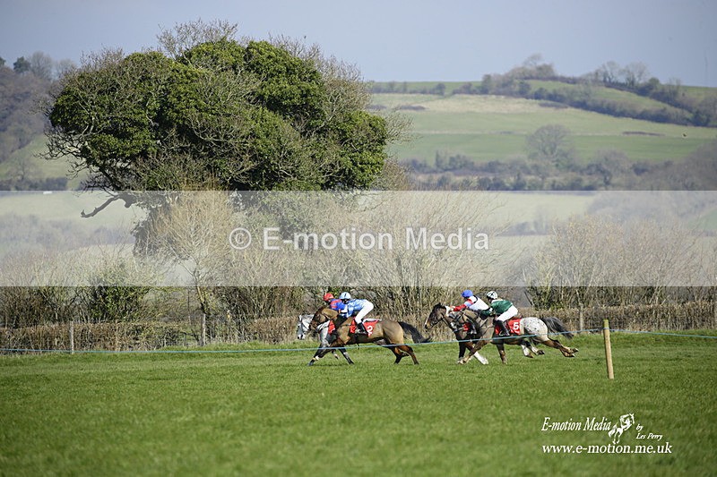 PtP 060322 71 - Blackmore & Sparkford Vale Hunt PtP 06/03/22