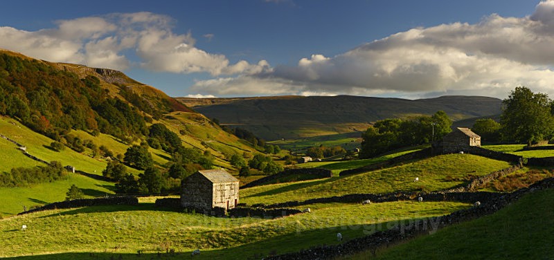 Upper Swaledale      ref pan4 - Panoramic Landsapes