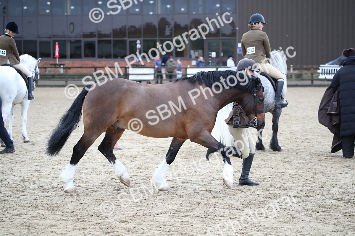 SBM_006398 - Class 10-13 - RIHS Small Large Breeds