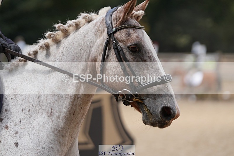 250822A-115857-21231 - WC Round 2 11.10 to 12.20