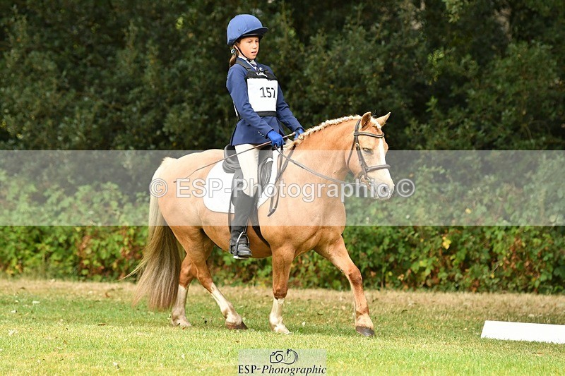 250820A-125711-05697 - 12 to 13.00