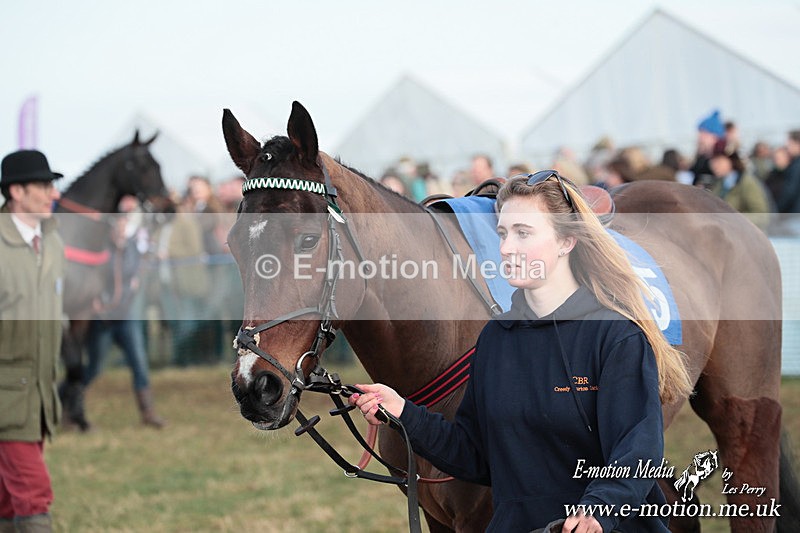 PtP 010325 551 - Beaufort Races Didmarton 01/03/25