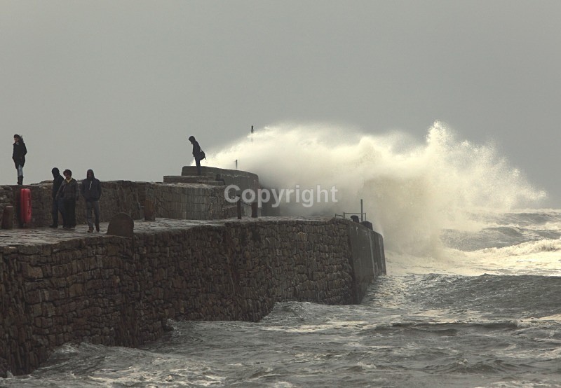 St Andrews Harbour - Landscapes