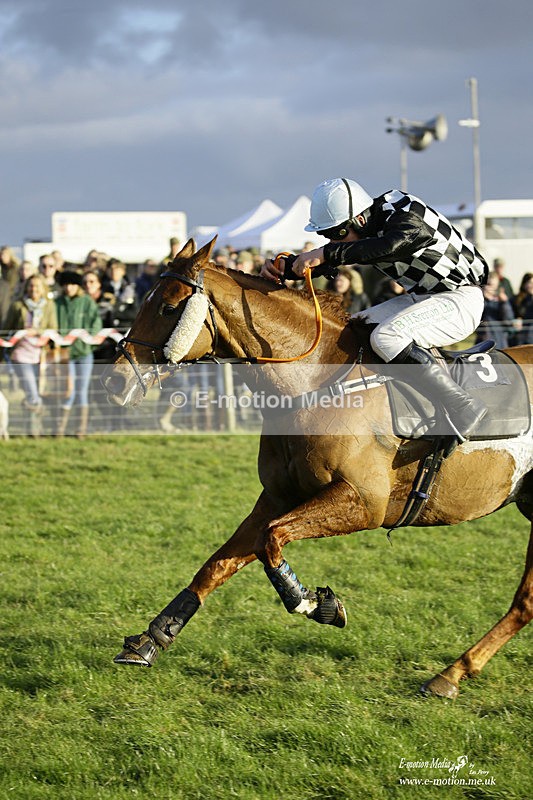 PtP 300122 664 - South Dorset Hunt - Point-to-Point Races 30/01/2022