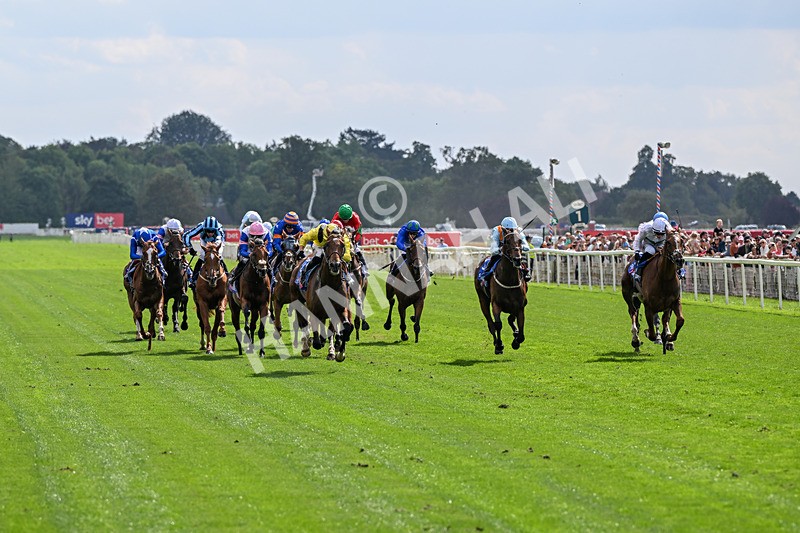 220826-Race 2-Infraad-9734 - Race 2 14.25pm Sky Bet Melrose Handicap