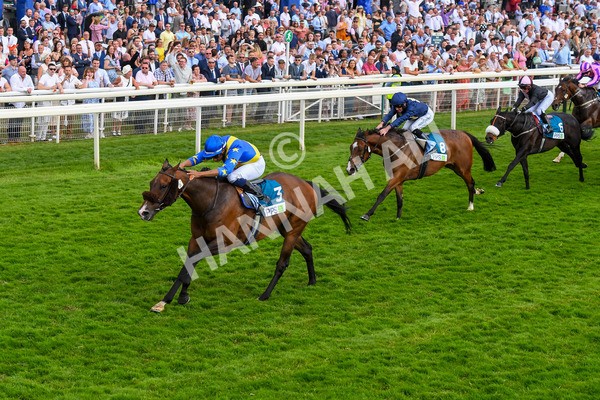 170623-Race 7-The Green Man-1015 - Race 7 5.25pm Clean Up With PPS Handicap