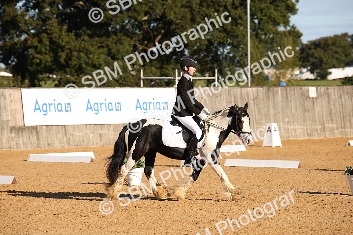 SBM_01759 - D2 Small Tour Championship Intro C
