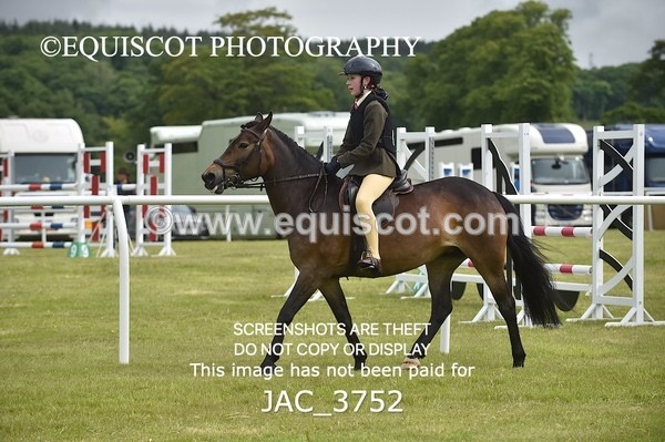 JAC_3752 - 75CM WORKING HUNTER