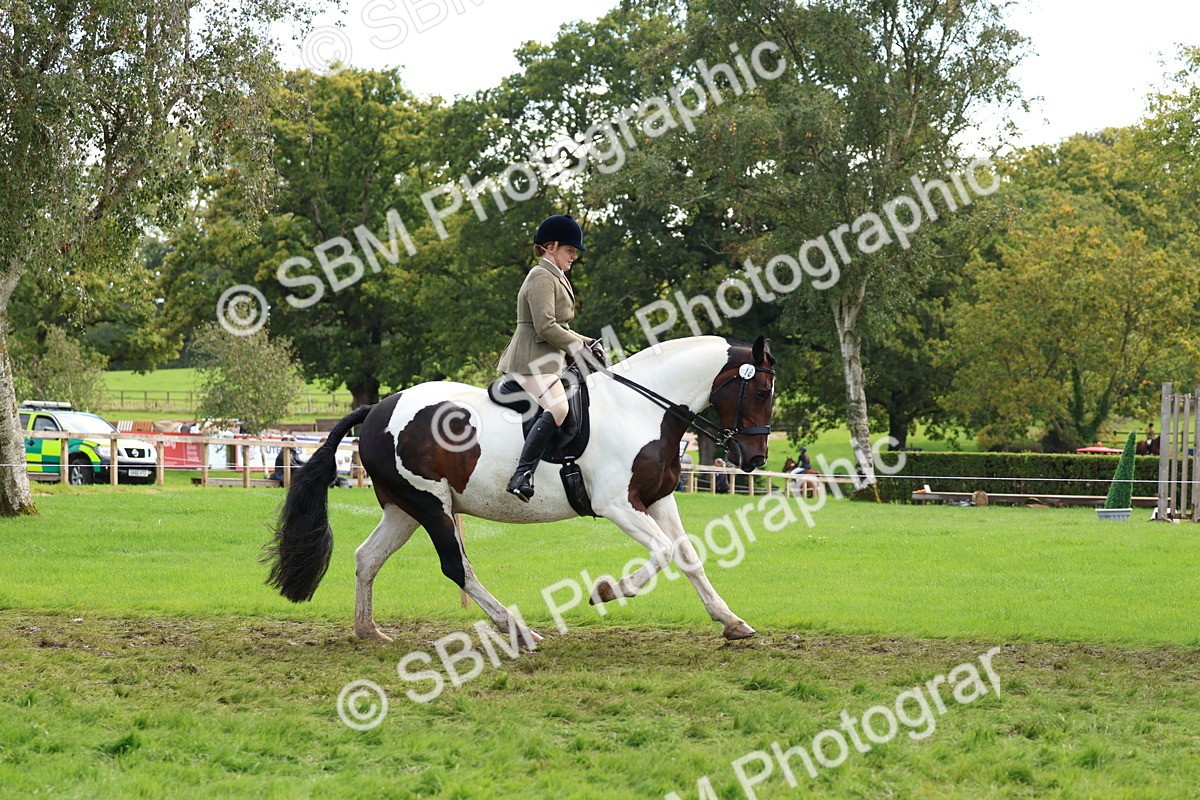 SBM_45220 - S27 - Young Veteran Ridden